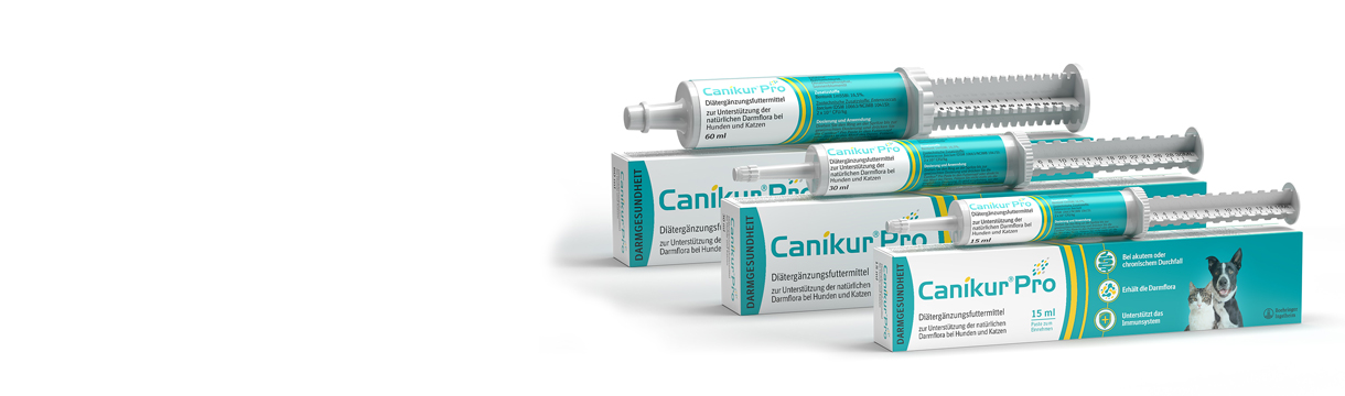 Canikur Pro Paste für Hund und Katze