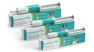 Canikur Pro zum Aufbau der Darmflora