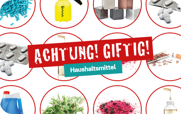 Was ist giftig fr Hunde und Katzen?